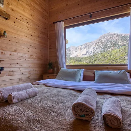 Babakamp Eco Ranch & Retreat