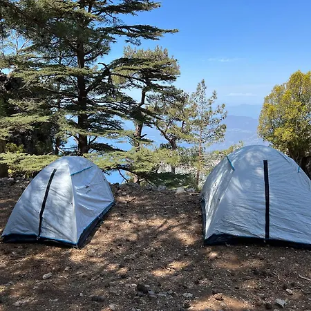 Babakamp Eco Ranch & Retreat * オルデニズ