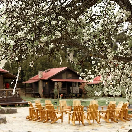 キャンプ場 Babakamp Eco Ranch & Retreat