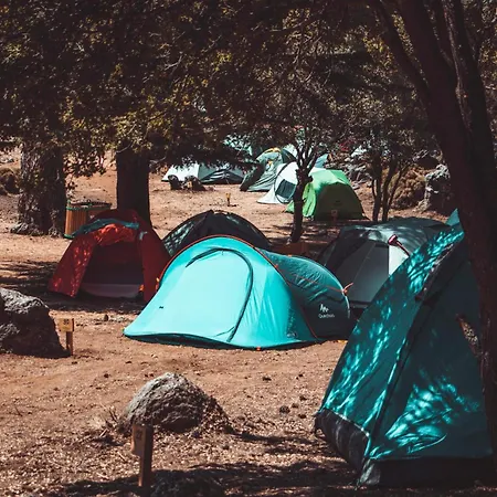 Babakamp Eco Ranch & Retreat オルデニズ