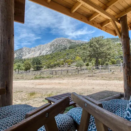 Babakamp Eco Ranch & Retreat キャンプ場